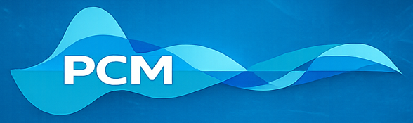 PCM Consultores